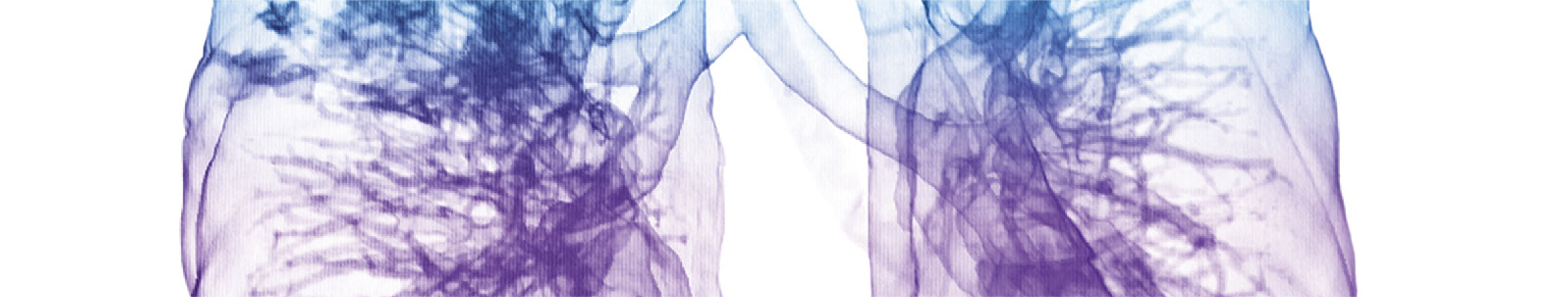 肺のイメージビジュアル