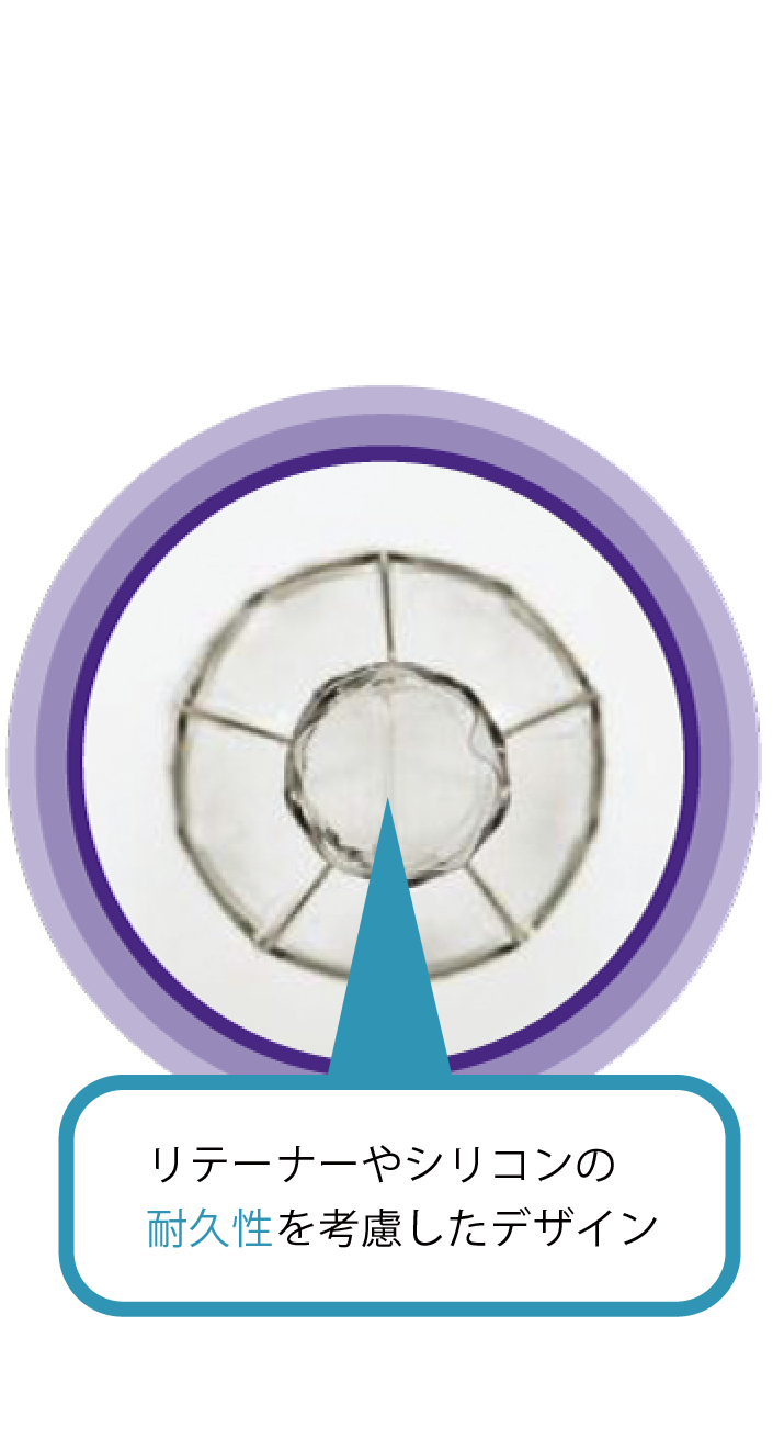 バルブの特長の説明