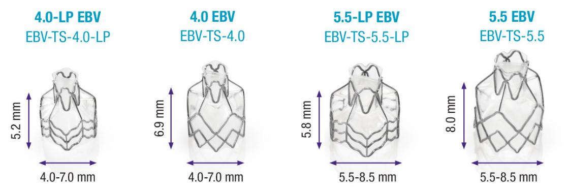 バルブサイズの比較